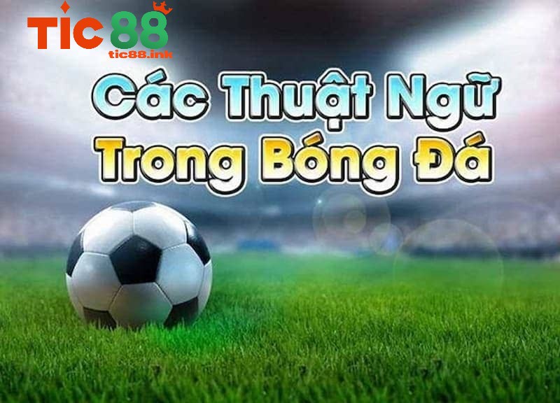 Thuật ngữ cá độ bóng đá - Cẩm nang chinh phục mọi kèo cược 2 Các thuật ngữ cá độ bóng đá trong kèo châu Á (Asian Handicap)