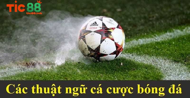 Thuật ngữ cá độ bóng đá - Cẩm nang chinh phục mọi kèo cược 3 Thuật ngữ cá độ bóng đá trong kèo châu Âu (European Odds)